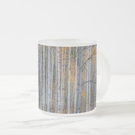 berkenbos matglas koffiemok (Voorkant rechts)