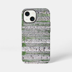 Berkenbos Natuur iPhone Hoes 13 Mini Hoesje