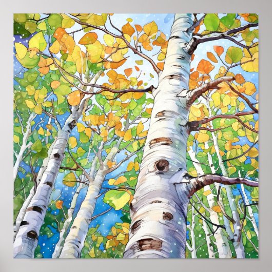 Berkenbos Waterverf schilderij Poster (Voorkant)