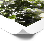 Berkenbossen Poster (Hoek)