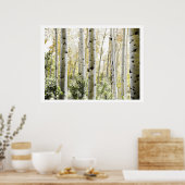 Berkenbossen Poster (Keuken)