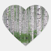 Berkeneboom bos natuur hart sticker (Voorkant)
