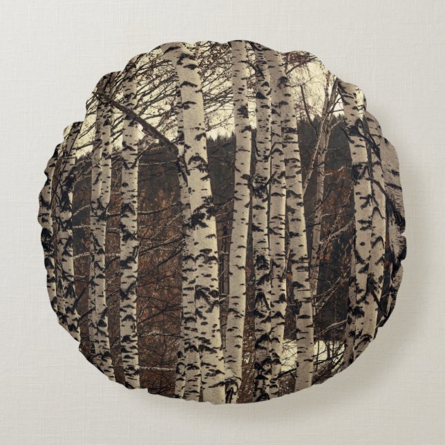 Berkeneboom bos natuur rond kussen (Voorkant)