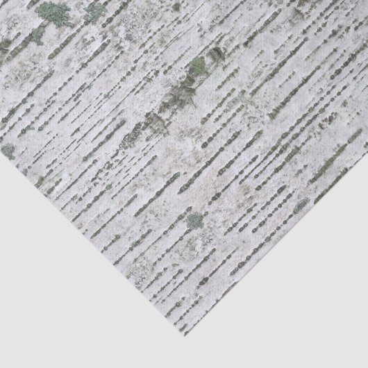 Berkenhout textuur tissuepapier (Detail)