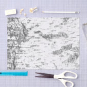 Berkenschors - Eenvoudig rustiek Tissuepapier (Craft)