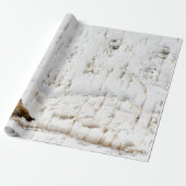 Berkenschorspatroon Cadeaupapier (Uitgerold)