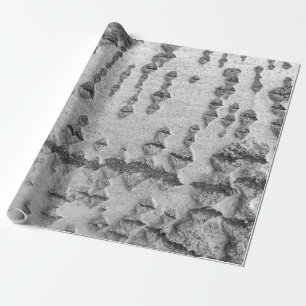 Berkenschorspatroon Cadeaupapier