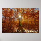 Berkshires Zonsondergang Levendige Herfst Foliage, Poster (Voorkant)