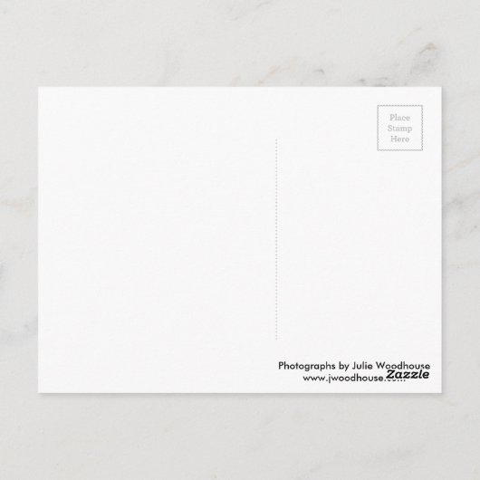 Berlijnse multi-afbeelding briefkaart (Achterkant)