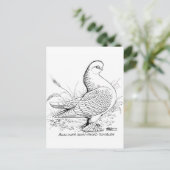Berliner Pigeon Black en White Briefkaart (Staand voorkant)