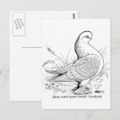 Berliner Pigeon Black en White Briefkaart (Voorkant / Achterkant)