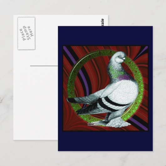 Berliner Pigeon Cirkel Briefkaart (Voorkant / Achterkant)