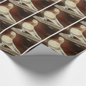 Berliner Shortface Pigeon Cadeaupapier (Hoek)