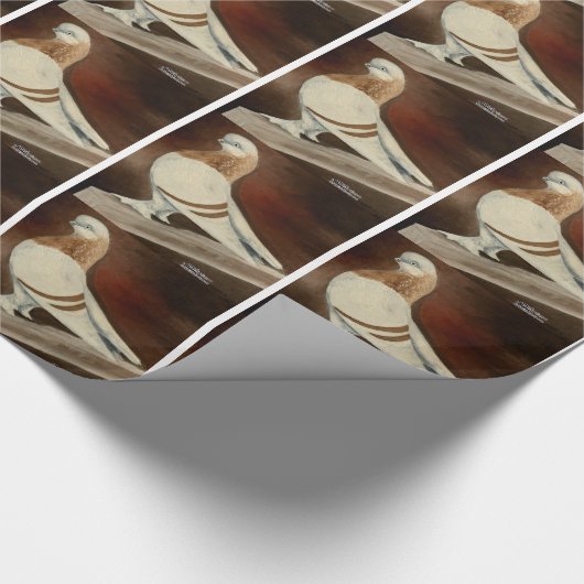 Berliner Shortface Pigeon Cadeaupapier (Hoek)