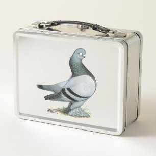 Berliner Tumbler Pigeon Blue Bar