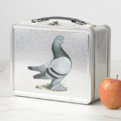 Berliner Tumbler Pigeon Blue Bar (In situ)