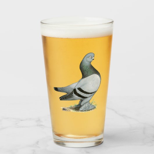 Berliner Tumbler Pigeon Blue Bar (Voorkant gevuld)