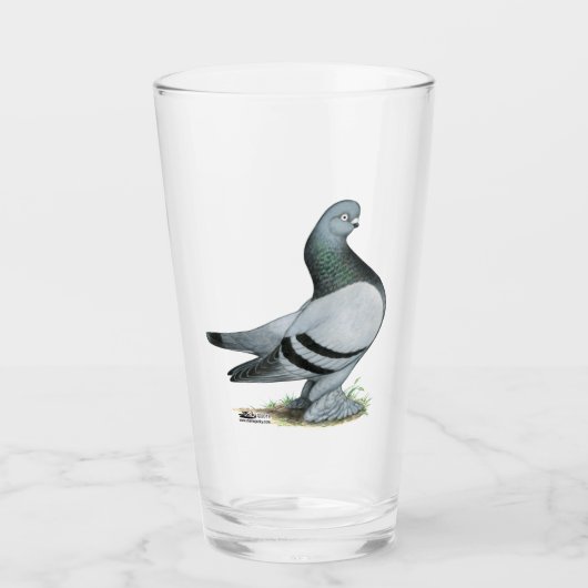 Berliner Tumbler Pigeon Blue Bar (Voorkant)