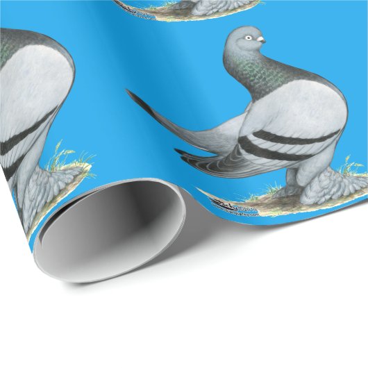 Berliner Tumbler Pigeon Blue Bar Cadeaupapier (Rol Hoek)