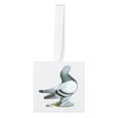 Berliner Tumbler Pigeon Blue Bar Decoratie (Voorkant)