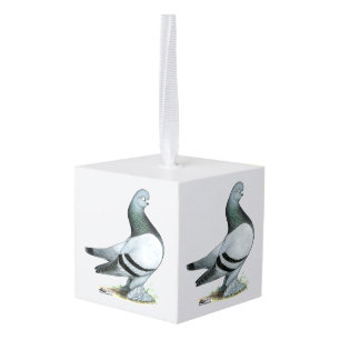 Berliner Tumbler Pigeon Blue Bar Decoratie