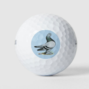 Berliner Tumbler Pigeon Blue Bar Golfballen