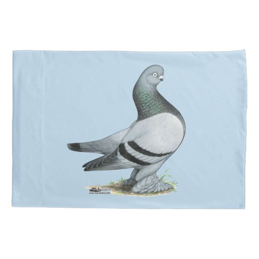 Berliner Tumbler Pigeon Blue Bar Kussensloop (Achterkant)