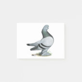 Berliner Tumbler Pigeon Blue Bar Post-it® Notes (Voorkant)