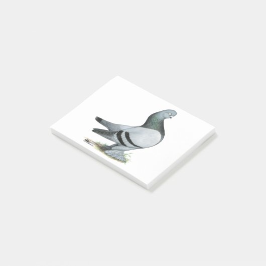 Berliner Tumbler Pigeon Blue Bar Post-it® Notes (Schuin)