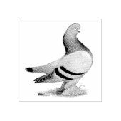 Berliner Tumbler Pigeon Blue Bar Rubberstempel (Afrduk)