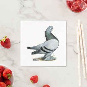Berliner Tumbler Pigeon Blue Bar Servet