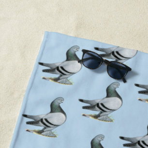 Berliner Tumbler Pigeon Blue Bar Strandlaken