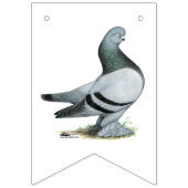 Berliner Tumbler Pigeon Blue Bar Vlaggetjes (Tweede vlag)