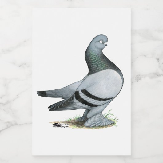 Berliner Tumbler Pigeon Blue Bar Voedselcontainer Etiket (Enkel label)