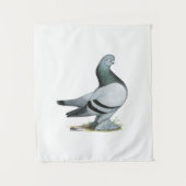 Berliner Tumbler Pigeon Blue Bar Wandkleed (Voorkant)