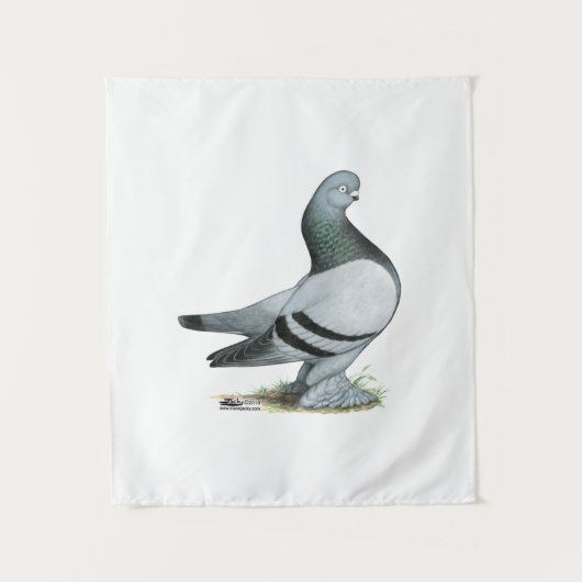 Berliner Tumbler Pigeon Blue Bar Wandkleed (Voorkant)