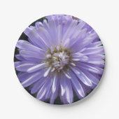 Berlinette Papieren Bordje (Voorkant)