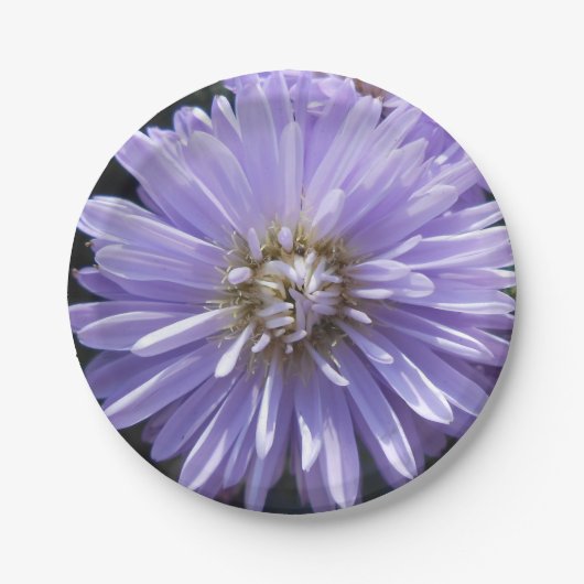 Berlinette Papieren Bordje (Voorkant)