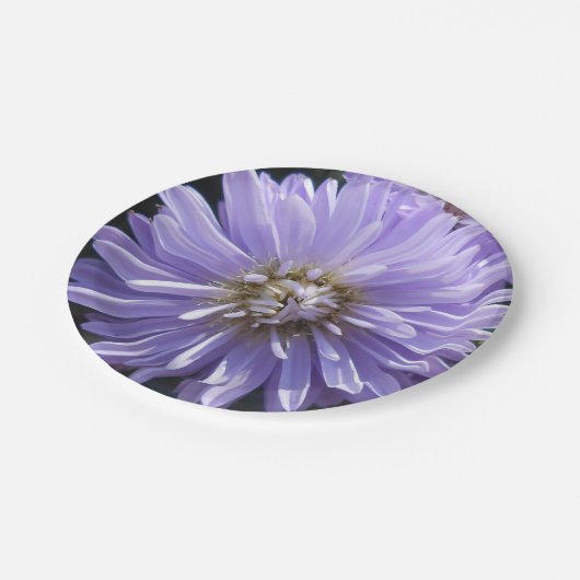 Berlinette Papieren Bordje (Gekanteld)