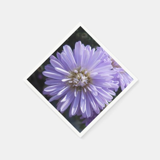 Berlinette Servetten (Hoek)