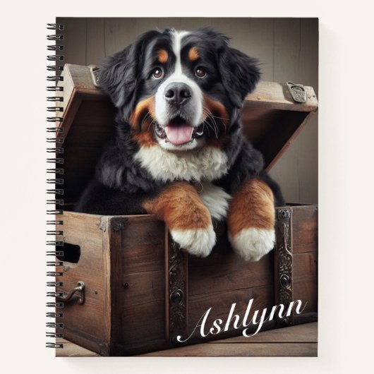 Bermese berghond in een  kist notitieboek (Voorkant)