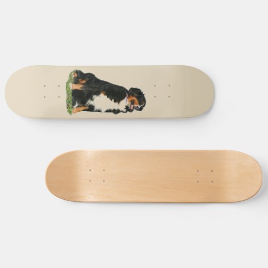 Bermese hond skateboard (Horizontaal)