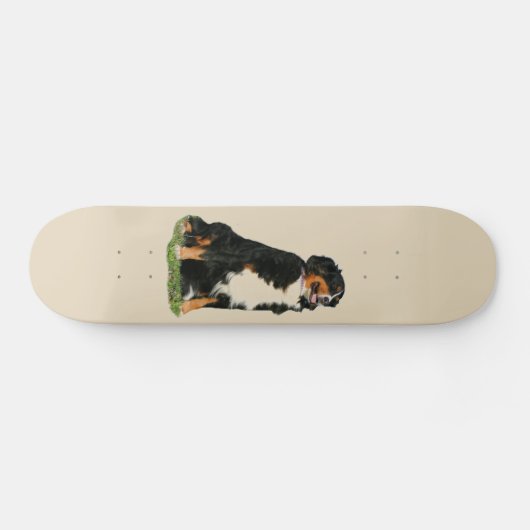 Bermese hond skateboard (Horizontaal)