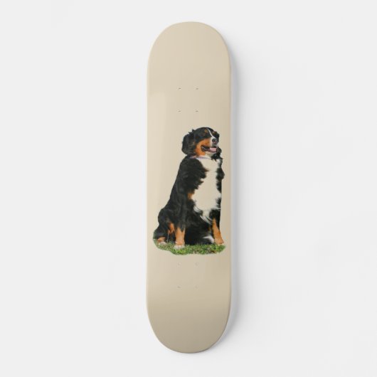 Bermese hond skateboard (Voorkant)