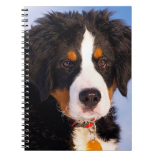 Bermese Mountain Dog Notitieboek