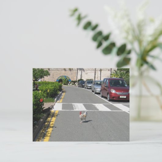 BERMUDA CHICKEN BRIEFKAART (Staand voorkant)