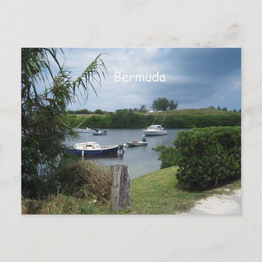 Bermuda Cove Briefkaart (Voorkant)