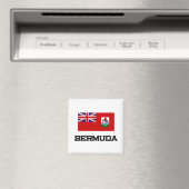 Bermuda Flag Magneet (Insitu (Vaatwasser))