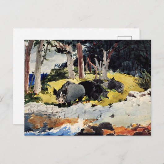 Bermuda kolonisten, een schilderij van Winslow Hom Briefkaart (Voorkant / Achterkant)