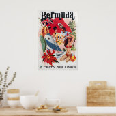 Bermuda Kunst Daniel Sweeney Print Delta Travel (Keuken)